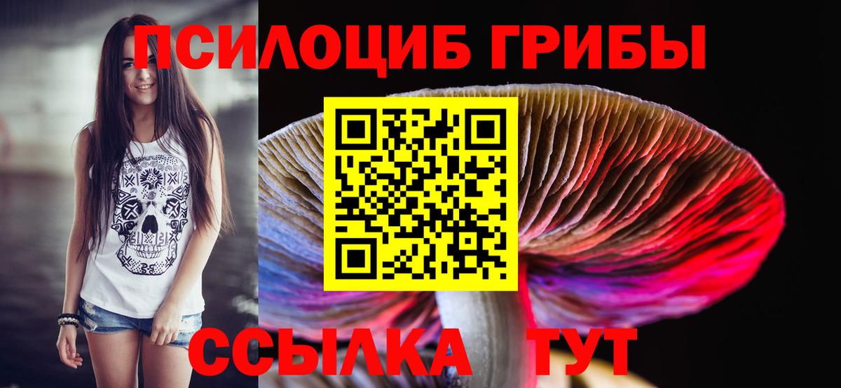 Галлюциногенные грибы Psilocybe Сочи